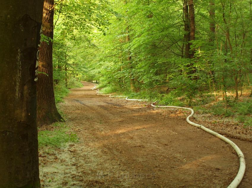 Waldbrand Bergisch Gladbach Bensberg P035.JPG